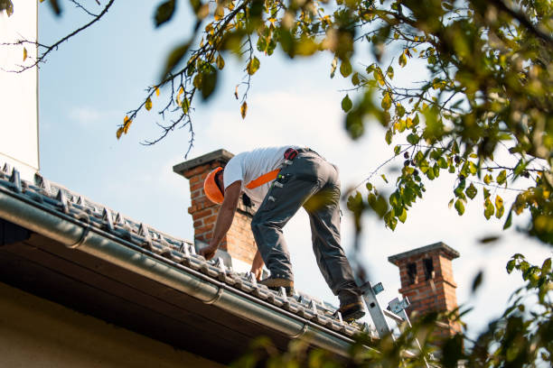 Best Roof Restoration Services  in Easton, CA
